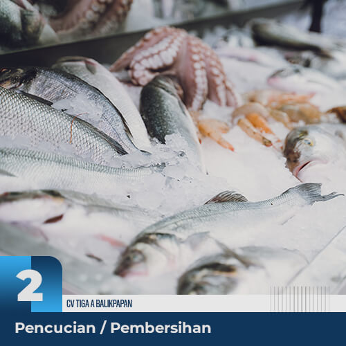 Hasil laut kemudian dicuci dengan standar mutu sampai bersih supaya kotoran pada saat di kapal dapat dibersihkan.
