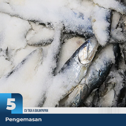 Proses pengemasan menggunakan wadah yang bersih dan tertutup sesuai standar supaya ikan dan hasil laut lainnya tetap segar dan terjaga kualitasnya.