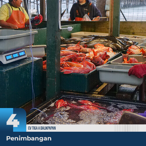 Sebelum masuk proses pengemasan, hasil laut tersebut akan ditimbang terlebih dahulu sesuai dengan ukuran dan jenisnya.